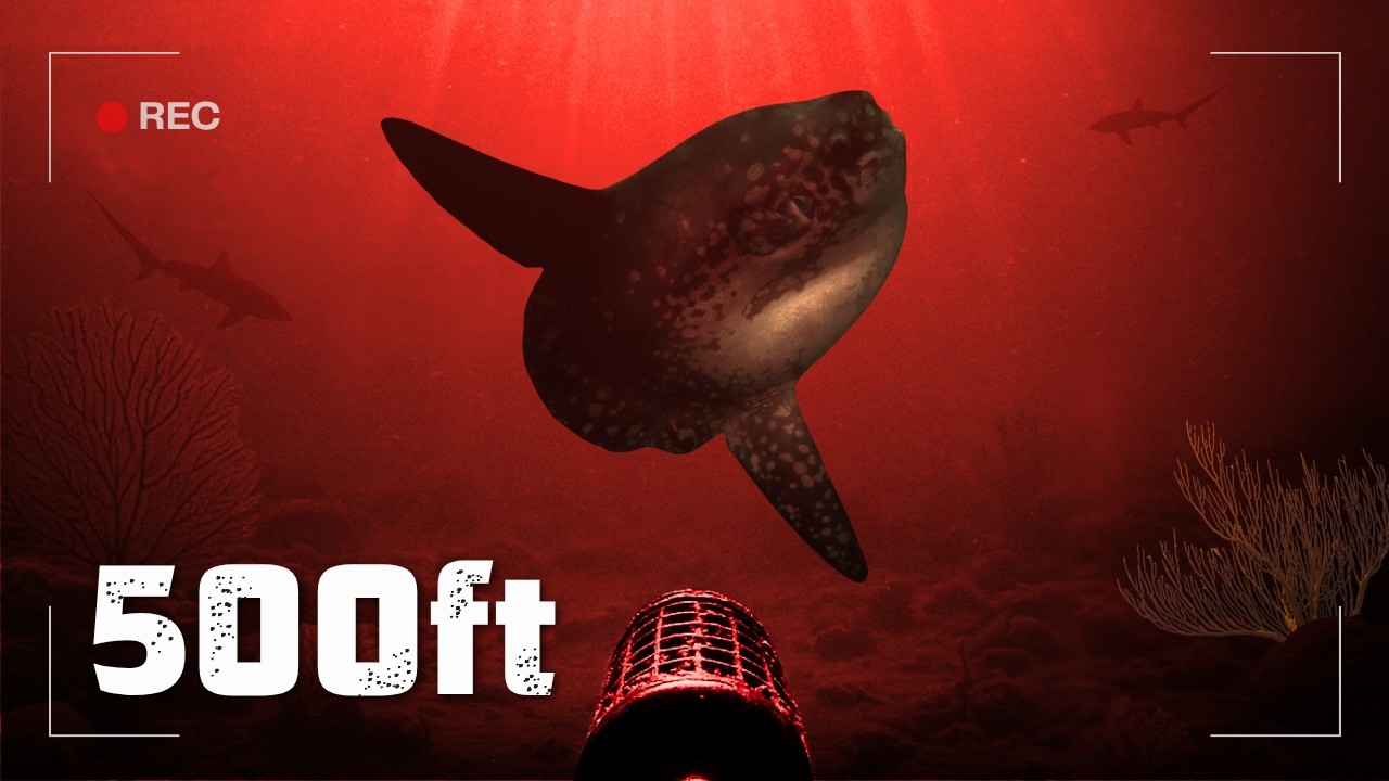 I Dropped a Night Vision Camera to the Bottom of the Bali Sea
