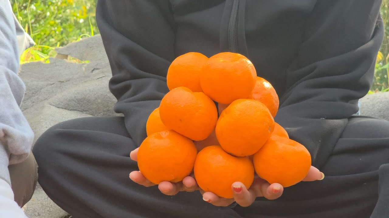 #orange gardens from Khandbari bazar to pangama vloge #barun tv #pangma #football #pangma cup#sajanv