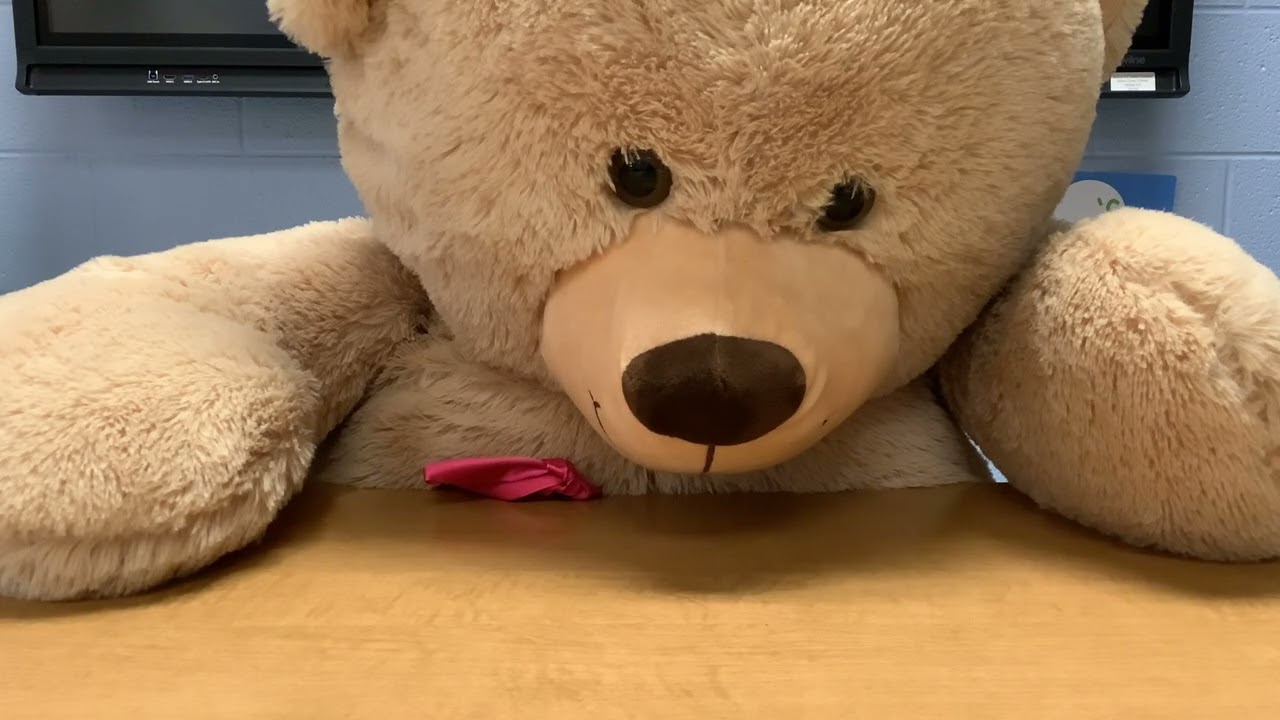 Bear Broadcast 3/3/2026