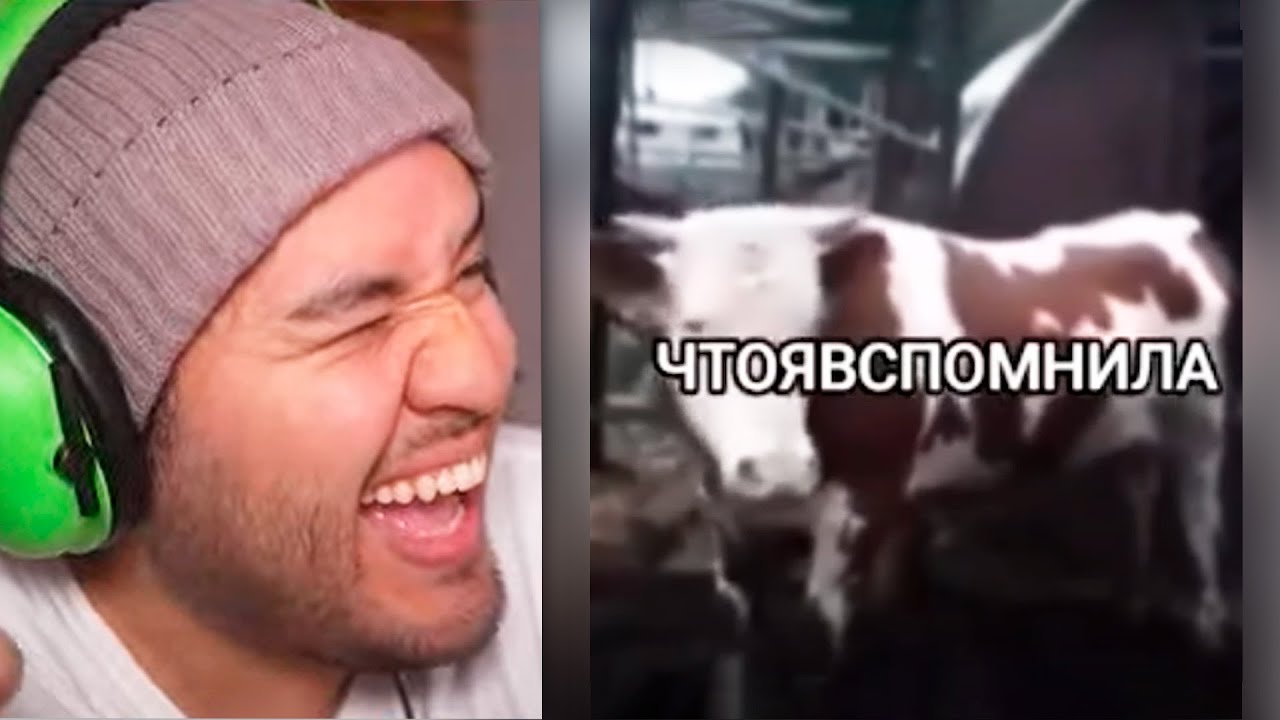 TIKTOKS TAN XD que se CONFUNDIERON CANAL 😬