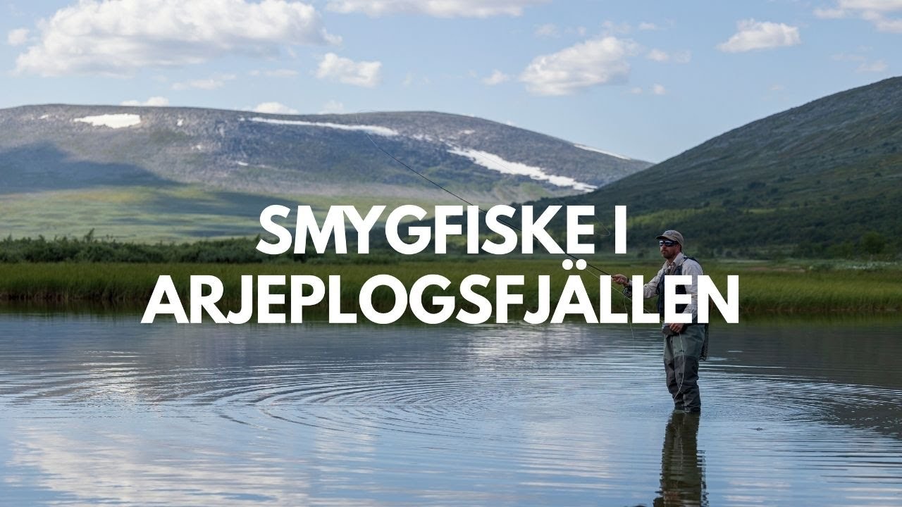VLOG - SMYGFISKE I ARJEPLOGFJÄLLEN