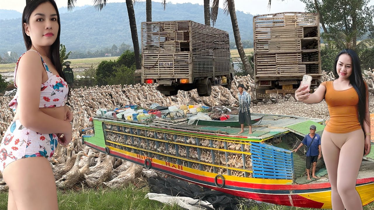 This full video compiles the entire process of over 30,000 ducks migrating across the fields.