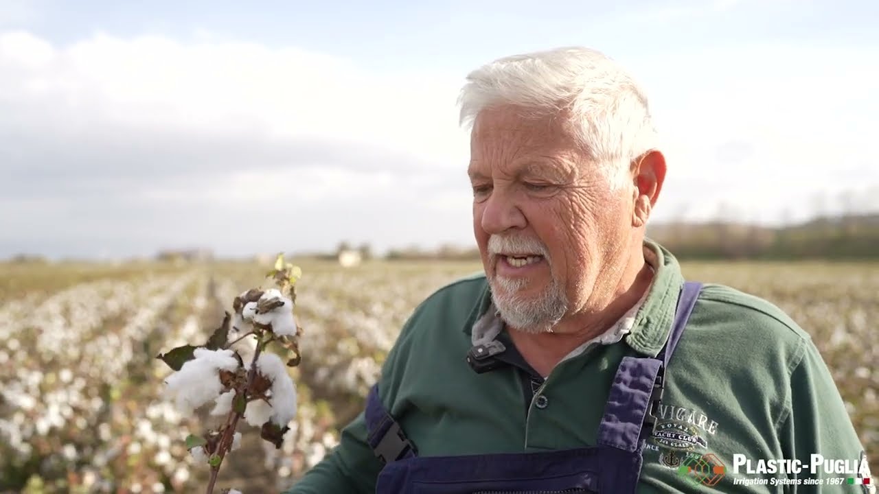 Plastic Puglia: I vantaggi dell’irrigazione a goccia per la coltivazione del cotone