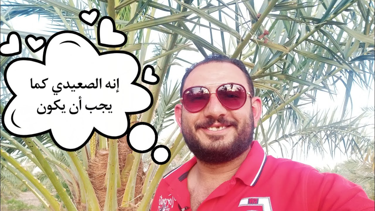 إنتاج النخيل السيوي بمحافظة الوادي الجديد مع جوزيف بولس