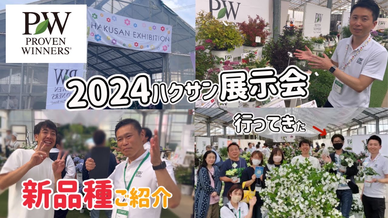 PW新品種満載の「2024ハクサン展示会」PWスーパーアンバサダーとしてご招待いただきました✋新品種 おすすめ品種 どうぞご覧ください