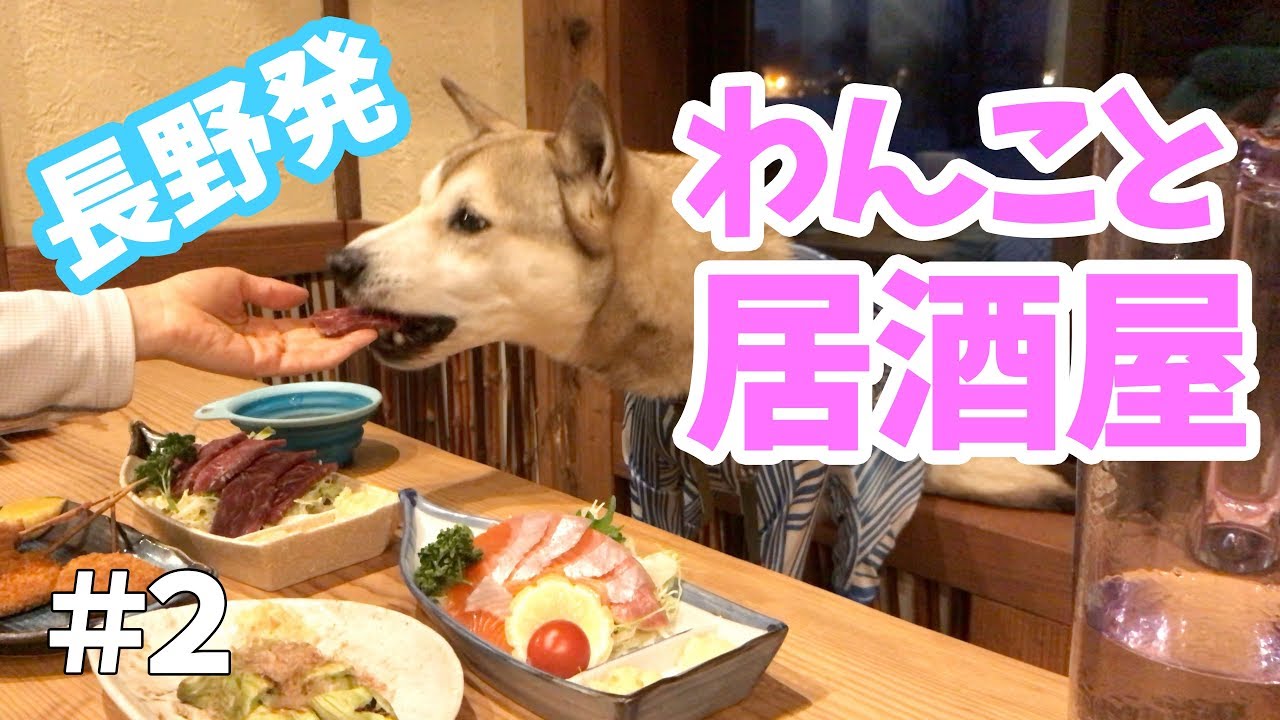 【わんこと居酒屋】長野の美味しいものを食べる旅#2   2019年2月  4K