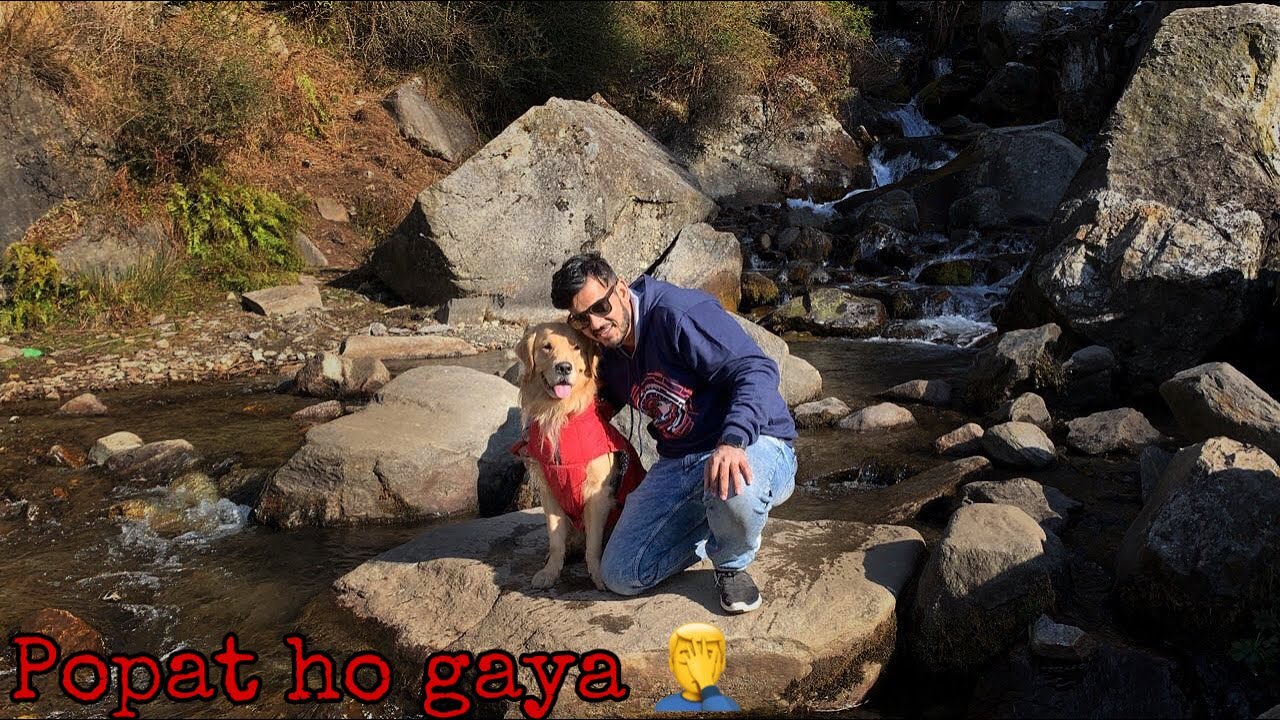 Failed Trek to Jogini Falls- Dog Vacation India