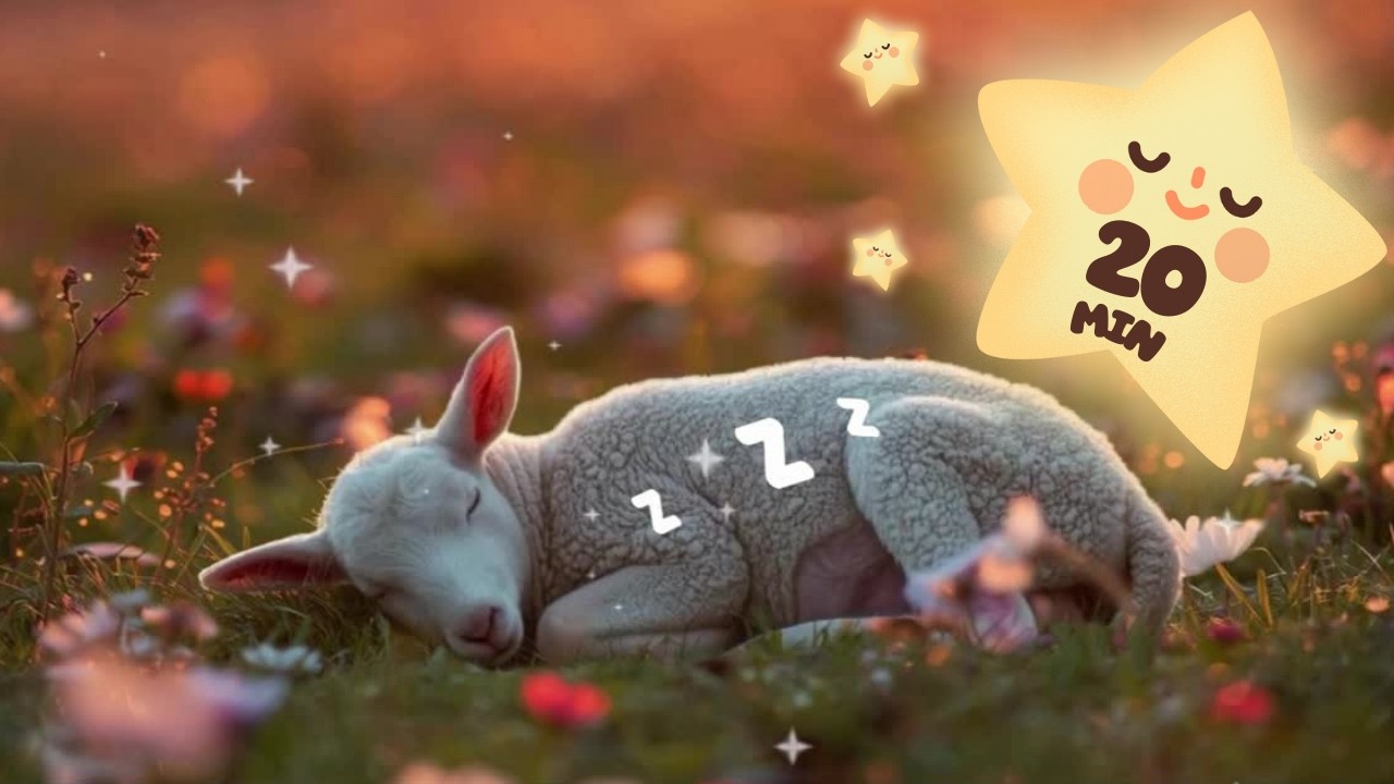 Gentle Sheep to Help you Sleep 🐑🌙 Comforting Lullaby Music for Babies | Relaxation