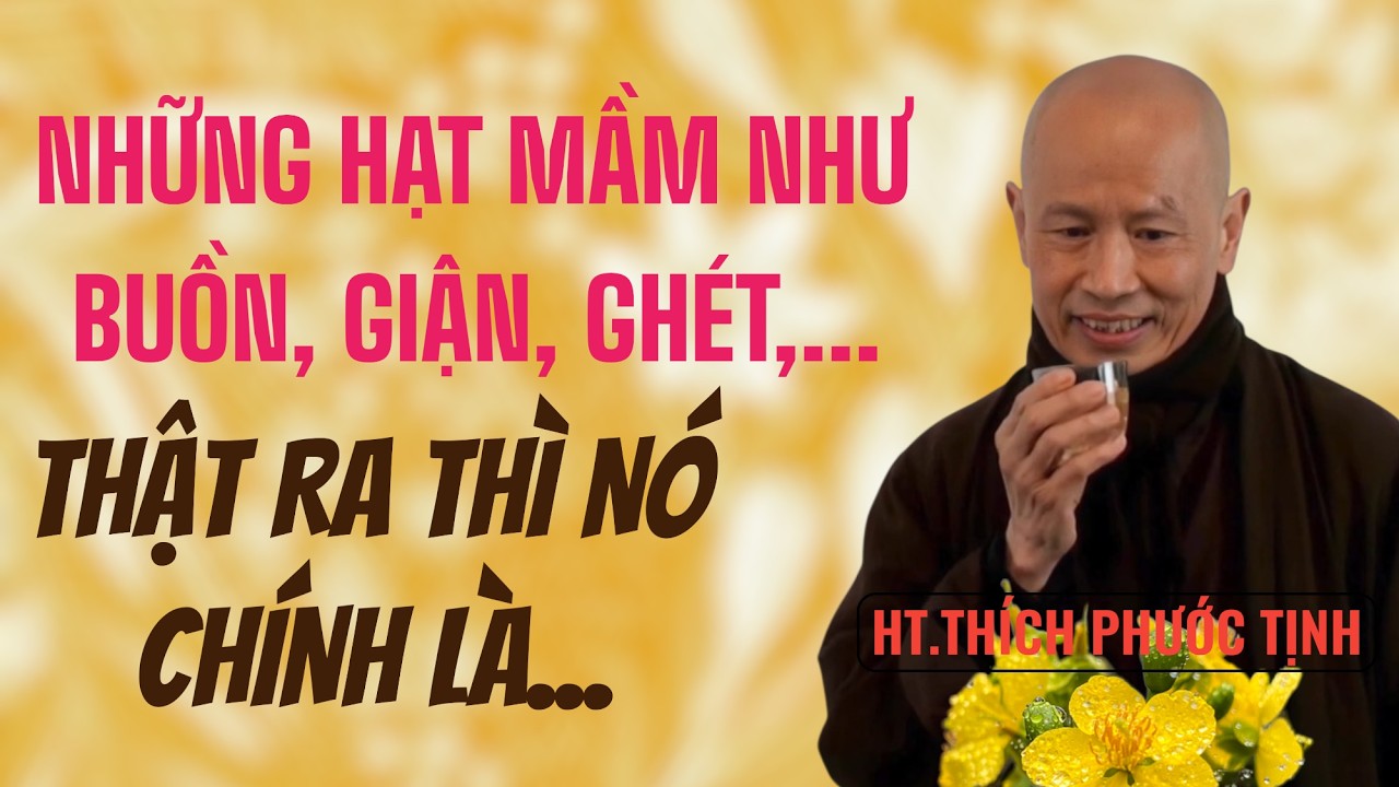 Những hạt mầm CON CƯU MANG NHƯ HỜN, GIẬN, BẤT AN, ... THẬT RA chỉ LÀ... |  HT THÍCH PHƯỚC TỊNH giảng