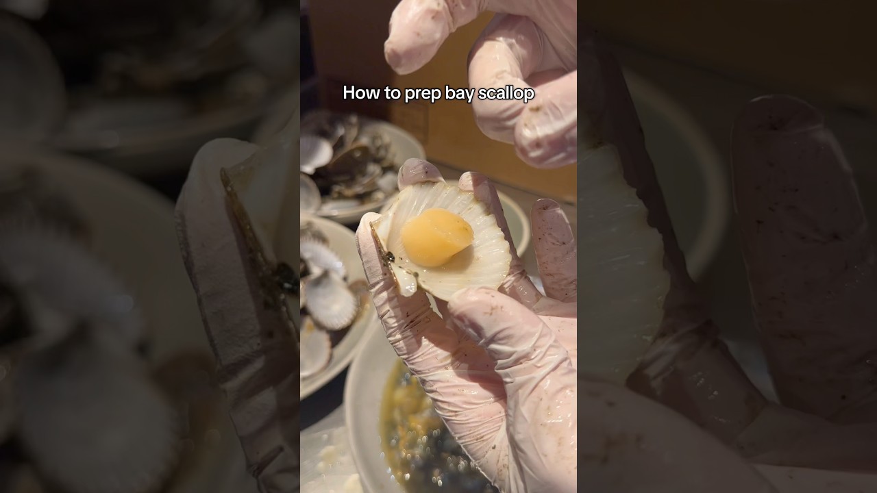How to prep bay scallop