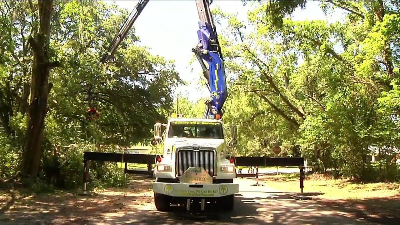 Is 'Megatron' the future of tree trimming?