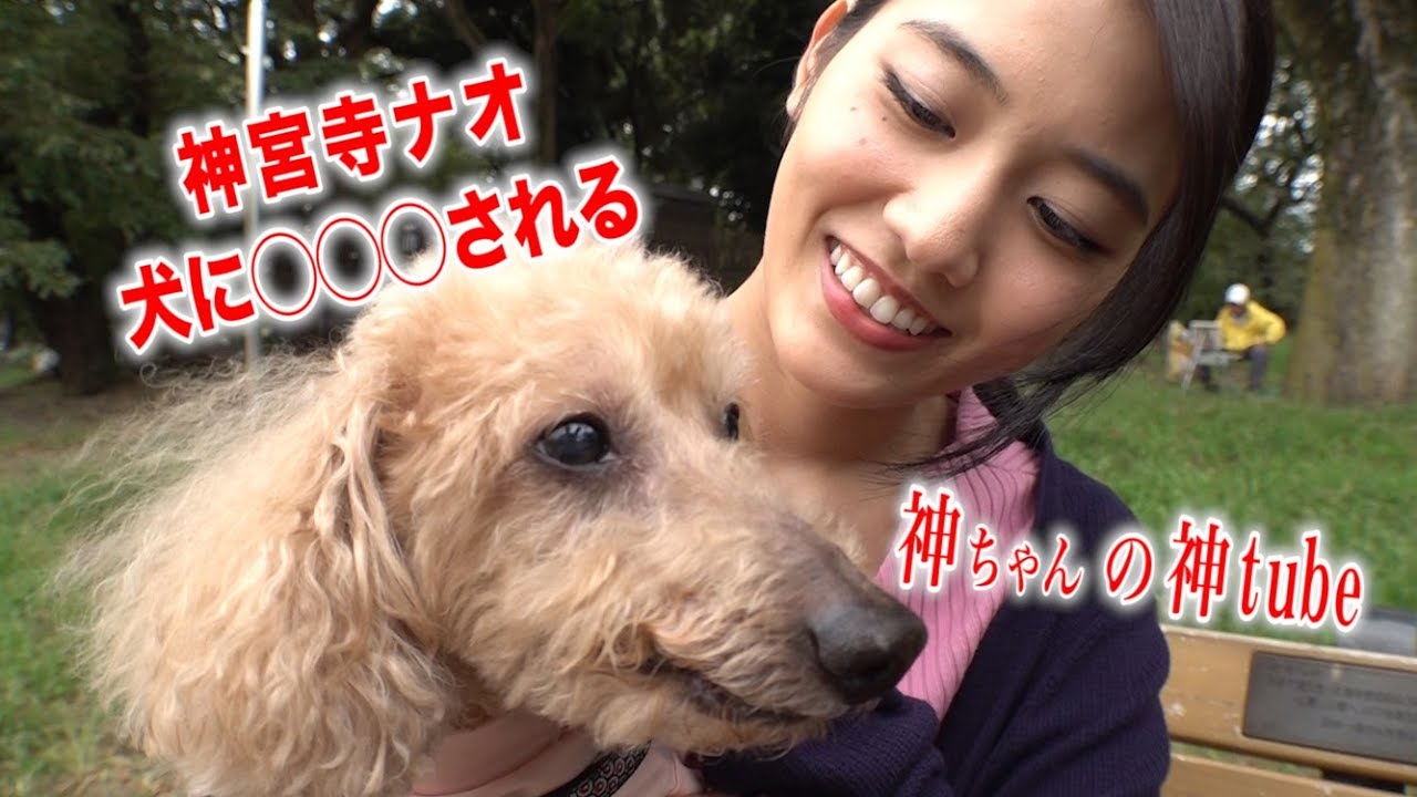 神tube 第4回