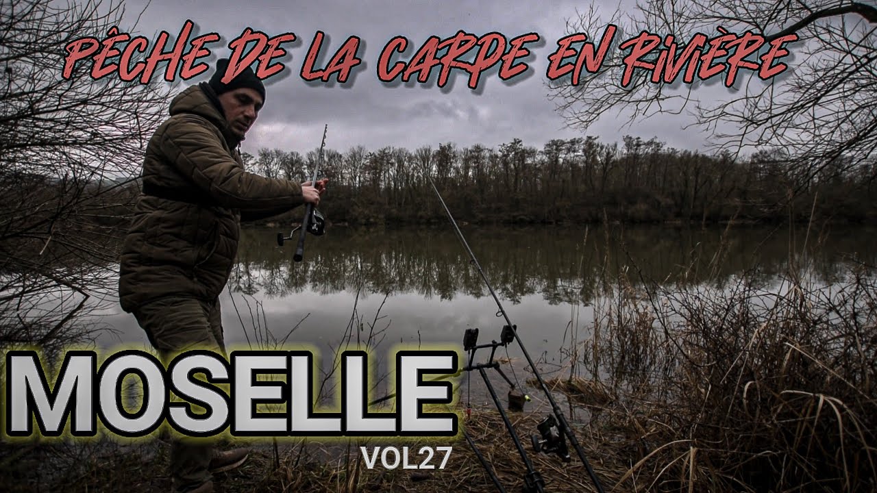 Pêche de la carpe en rivière,la Moselle Vol27
