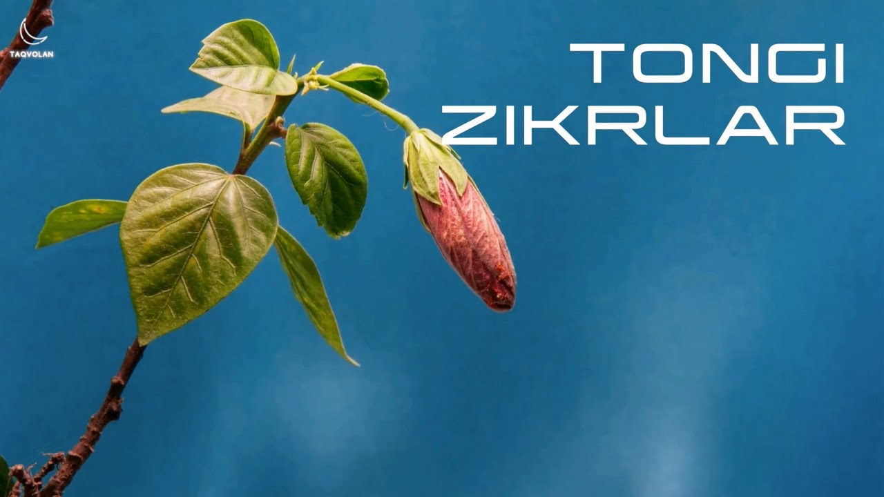 Tonggi zikrlar | ТОНГГИ ЗИКРЛАР (Дониёр қори)