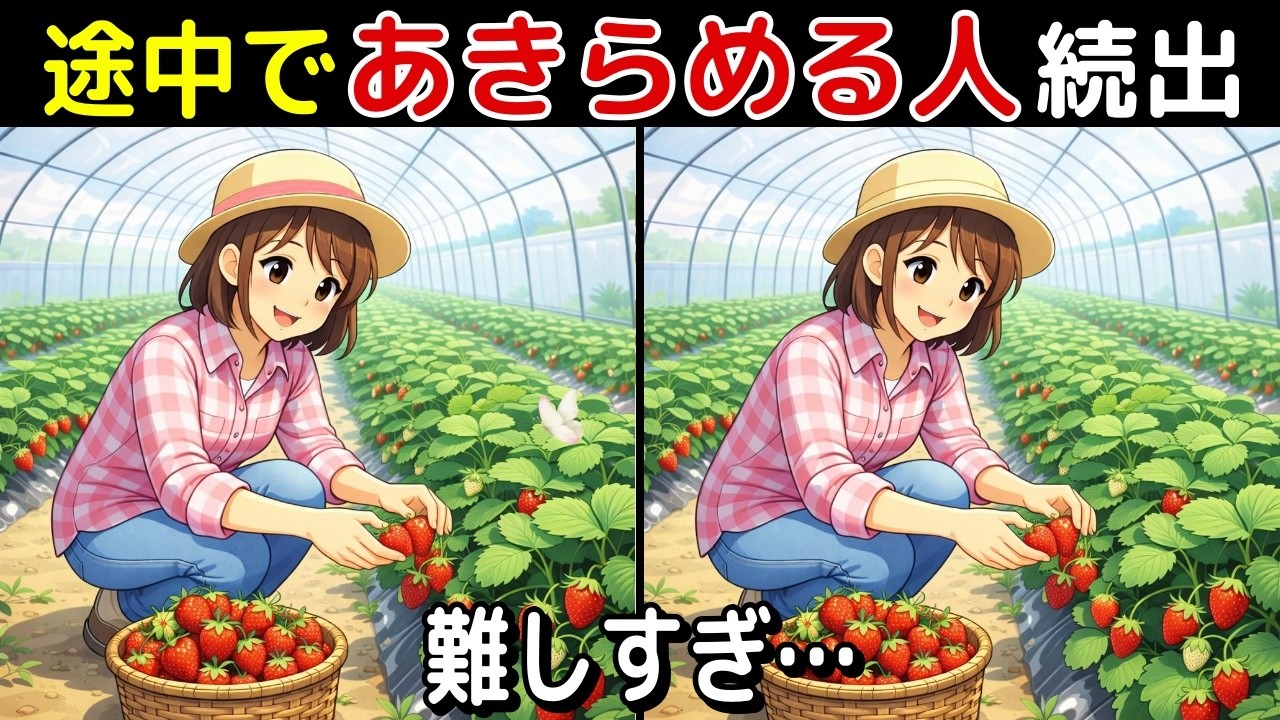 【本気の脳活】間違い探し脳トレ10問！初級〜上級まで油断大敵！脳活チャレンジ🌸高齢者・シニア向け90秒勝負！【最後に特別クイズ】