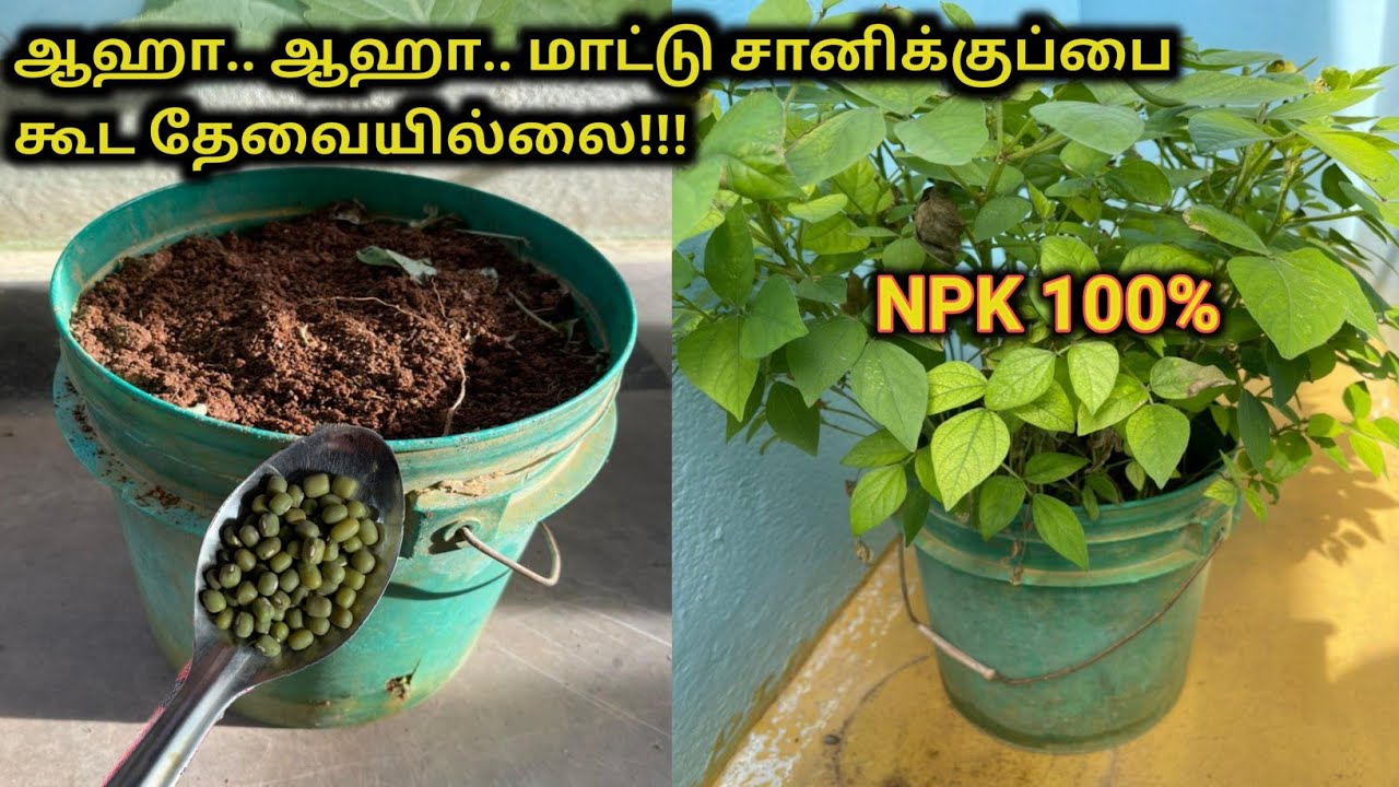 ஆஹா..இது கூட தெரியாமல் இவ்வளவு காசு குடுத்து உரம் வாங்கிட்டோமேனு யோசிப்பீங்க.. Ideas for potting mix