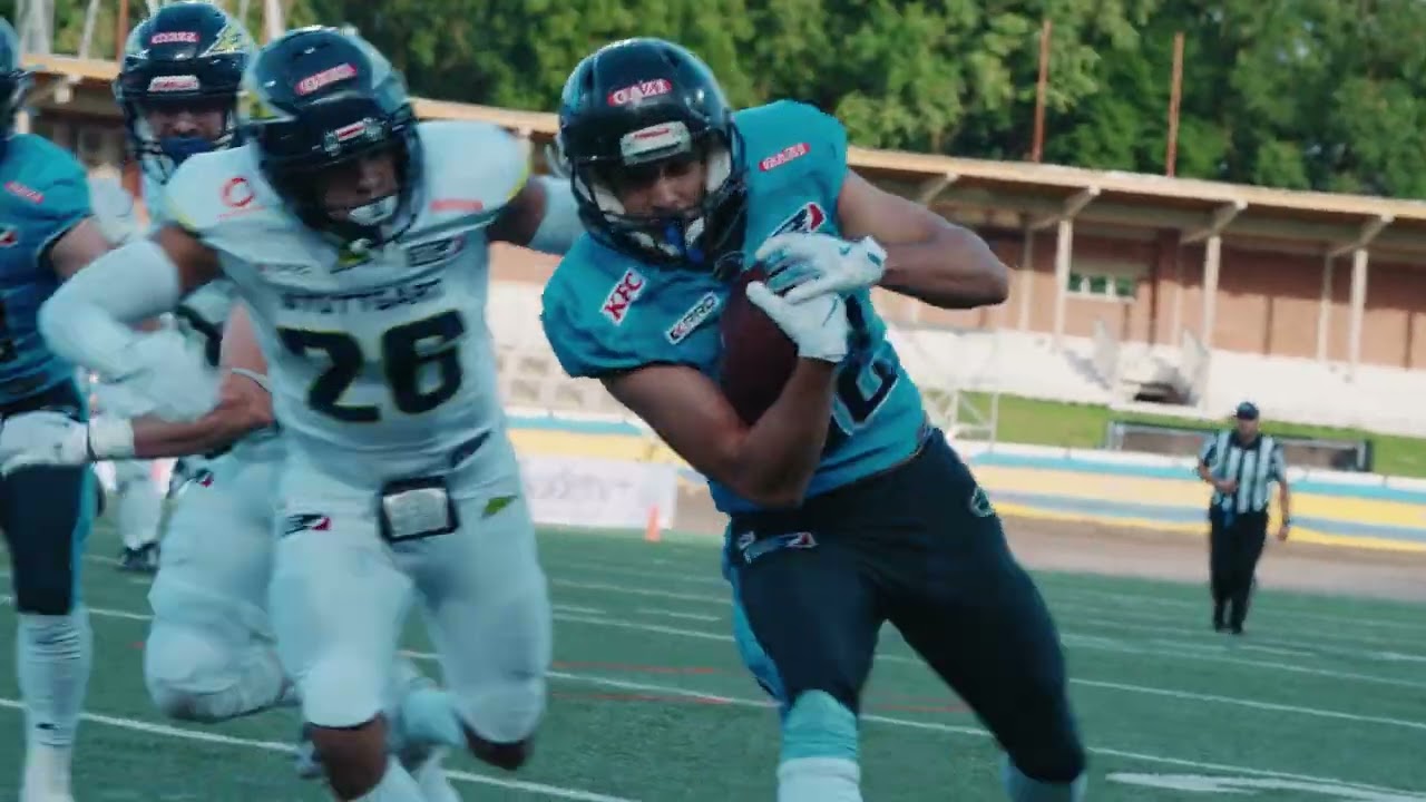 Panthers Wrocław 2024 Mid-Season Highlights
