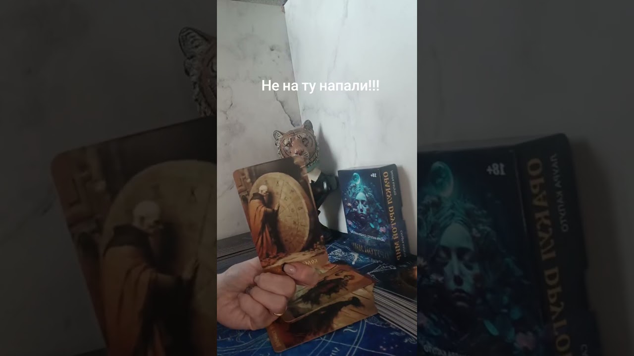 НЕ НА ТУ НАПАЛИ!!!