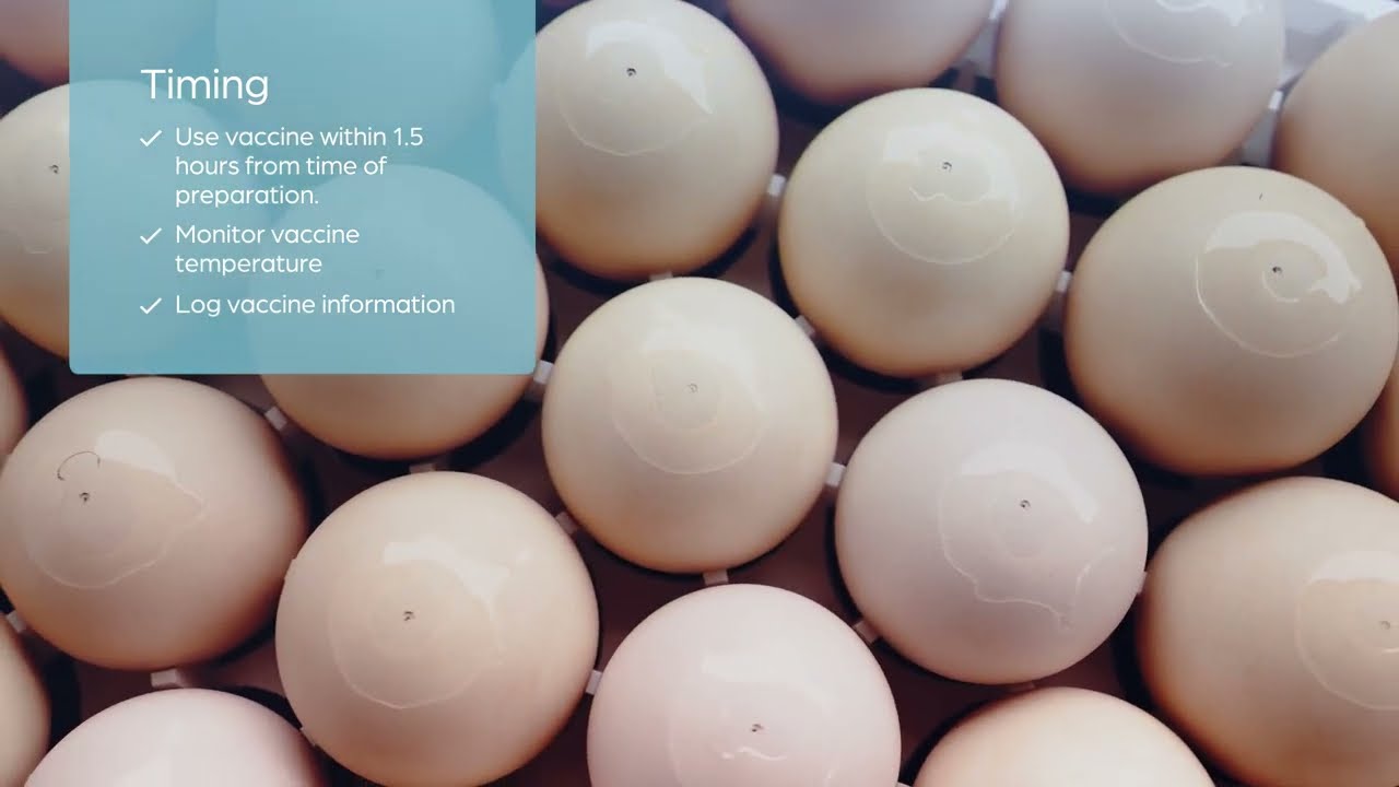 Frozen Vaccine Preparation and Mixing Training Video