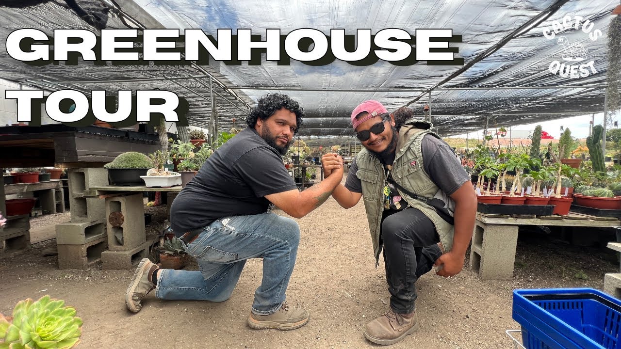 Oscar & Edgar are like the wright brothers of succulents. Taking flight on PALMSTREET.