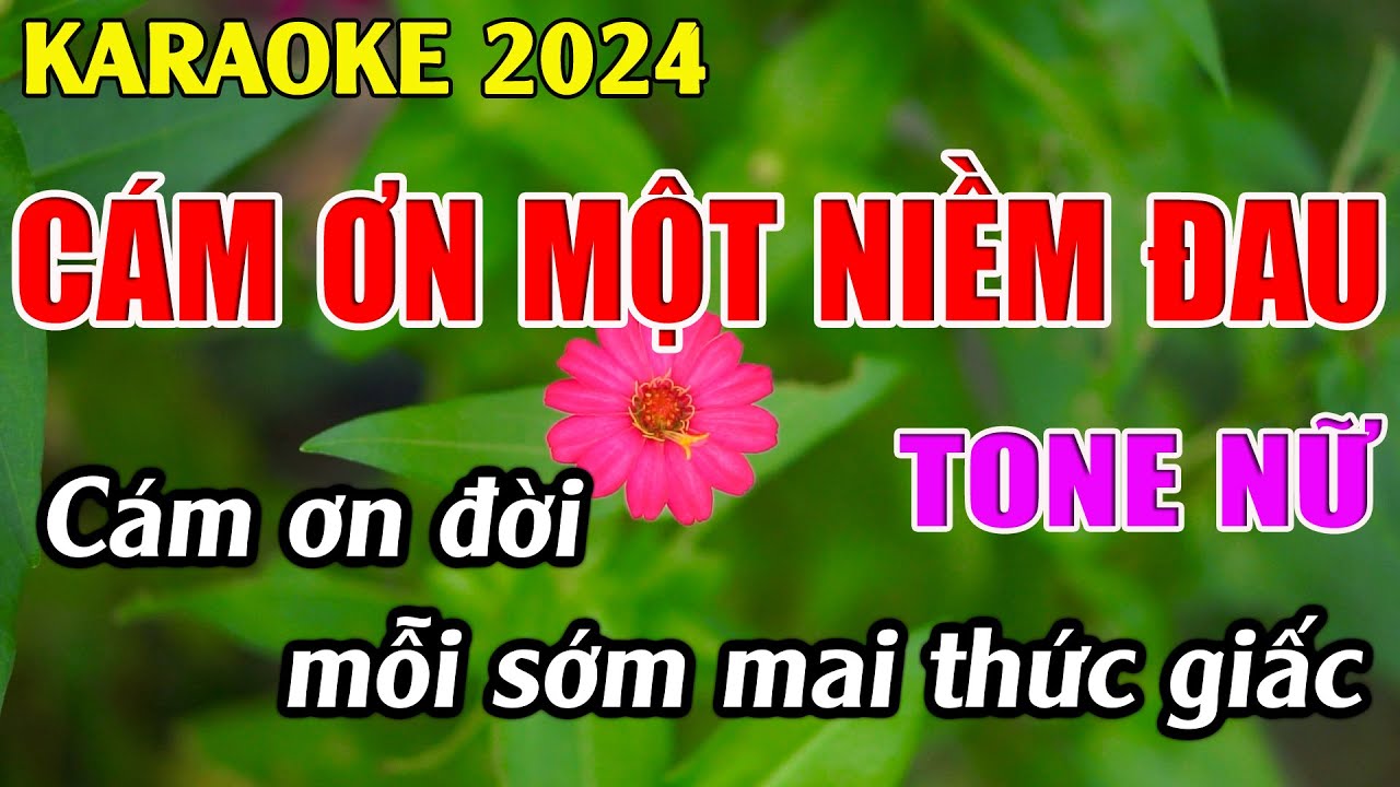 Cám Ơn Một Niềm Đau Karaoke Tone Nữ ( Am ) Karaoke Tuyệt Phẩm -  Beat Mới