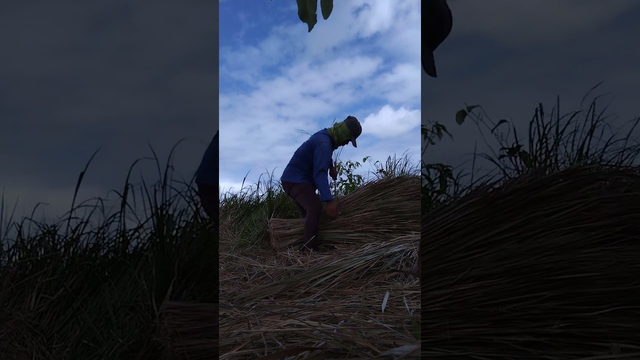 #guys part 2 na bigkis kona yung kugon manga ka lodz jn