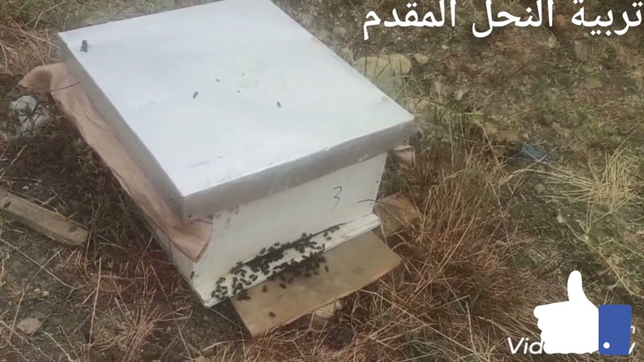 فتحة السروح سبب في هلاك كل الخلايا@