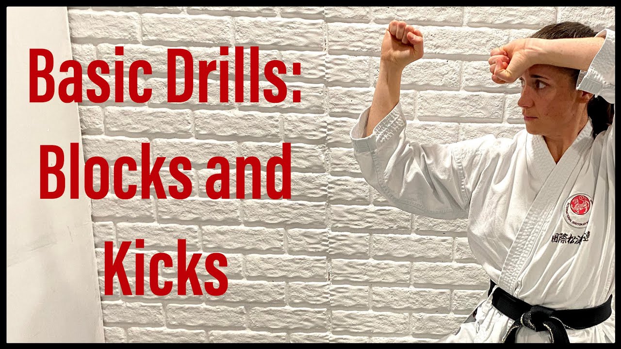 Karate workout: blocks and kicks