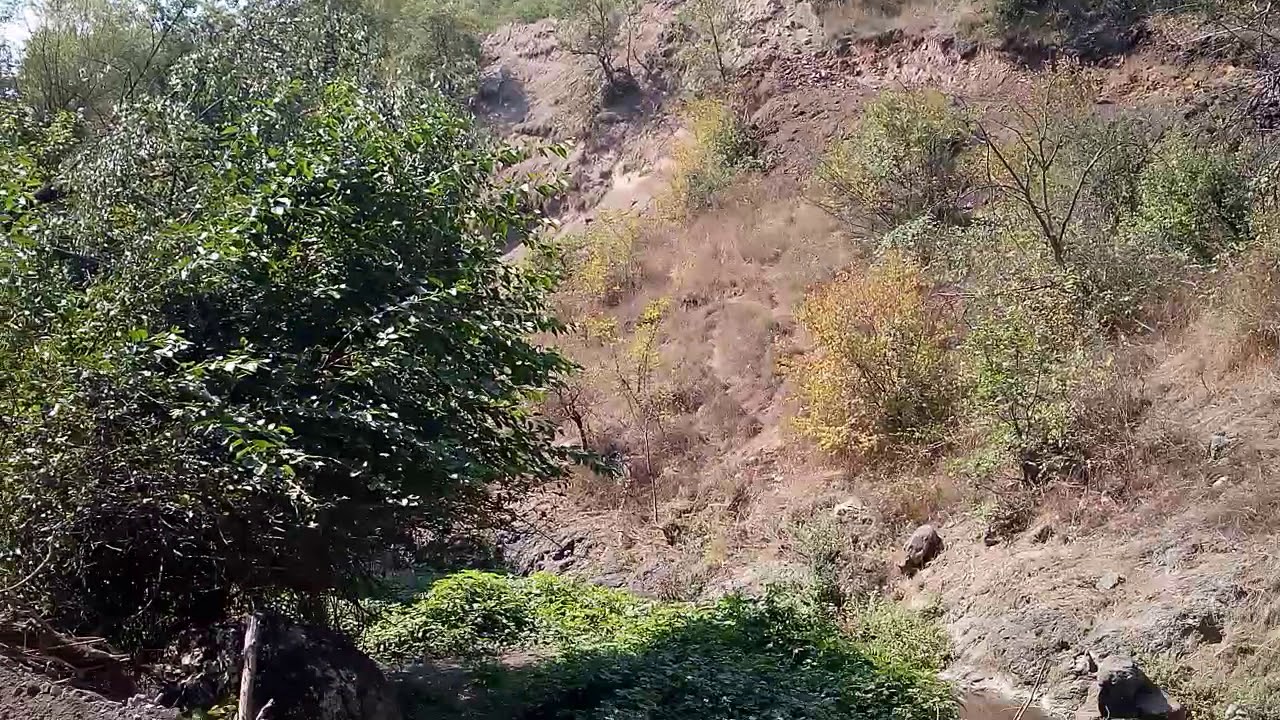 Pochambar(2)