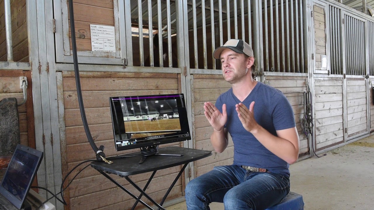 Pushing your barrel horse into your turns