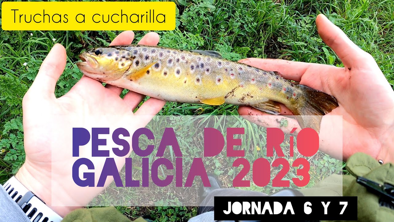 PESCA de TRUCHAS a CUCHARILLA en GALICIA #4 | Río pequeño con buenos ejemplares - Temporada 2023