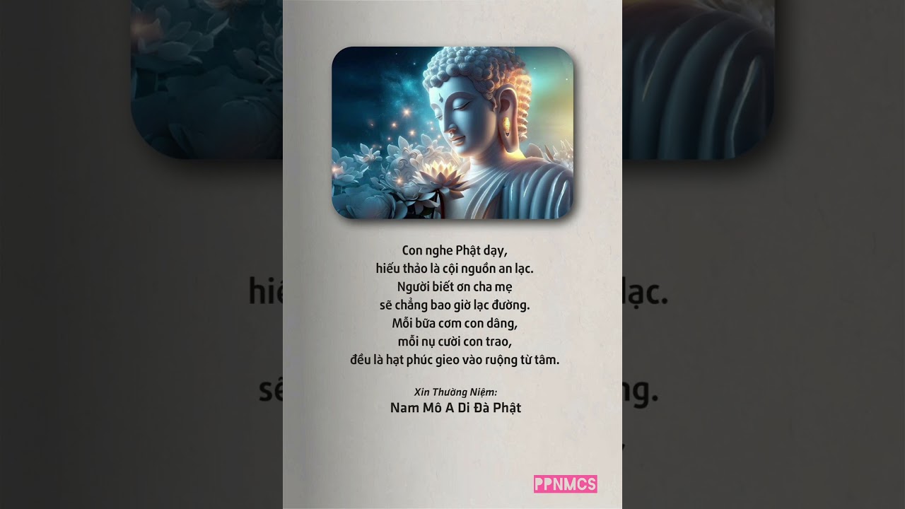 Con nghe Phật dạy 🙏🙏🙏🪷 