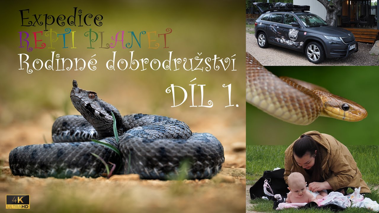EXPEDICE REPTI PLANET - RODINNÉ DOBRODRUŽSTVÍ (EPIZODA 1.)
