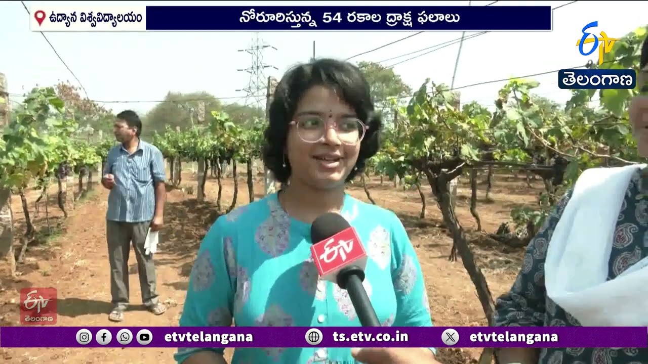 Grape Festival 2026 Rajendranagar | Sri Konda Laxman Telangana Horticulture University