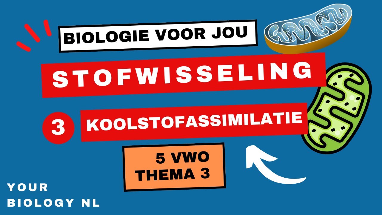 5 vwo | Stofwisseling | 3 | Koolstofassimilatie / Fotosynthese