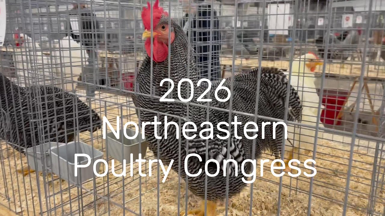 2026 Northeastern Poultry Congress (Poultry Show)