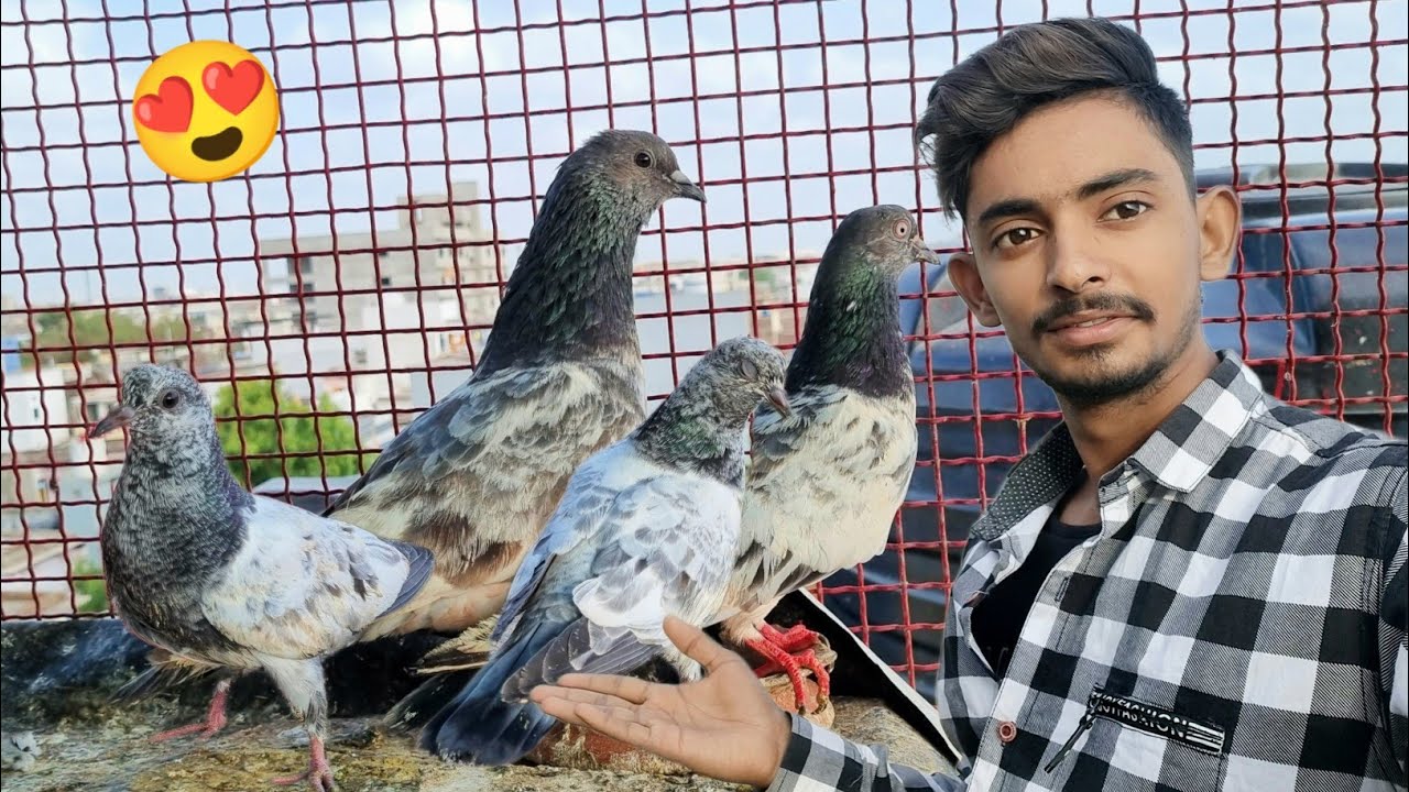 New Jode K Bache Nikll Gye 😍