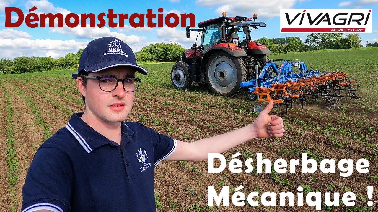 Désherbage mécanique du maïs ! 🌽