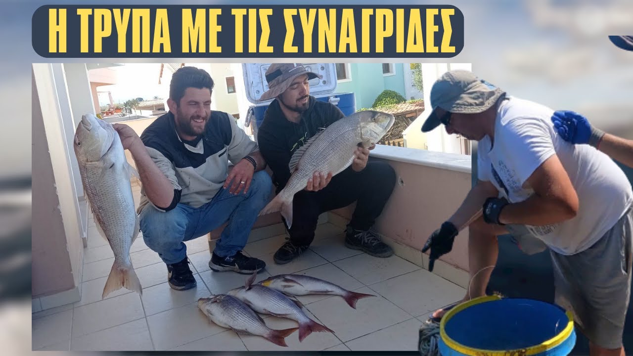 ΨΑΡΕΜΑ ΣΤΟΝ ΛΟΥΡΟ - Η ΤΡΥΠΑ ΜΕ ΤΙΣ ΣΥΝΑΓΡΙΔΕΣ
