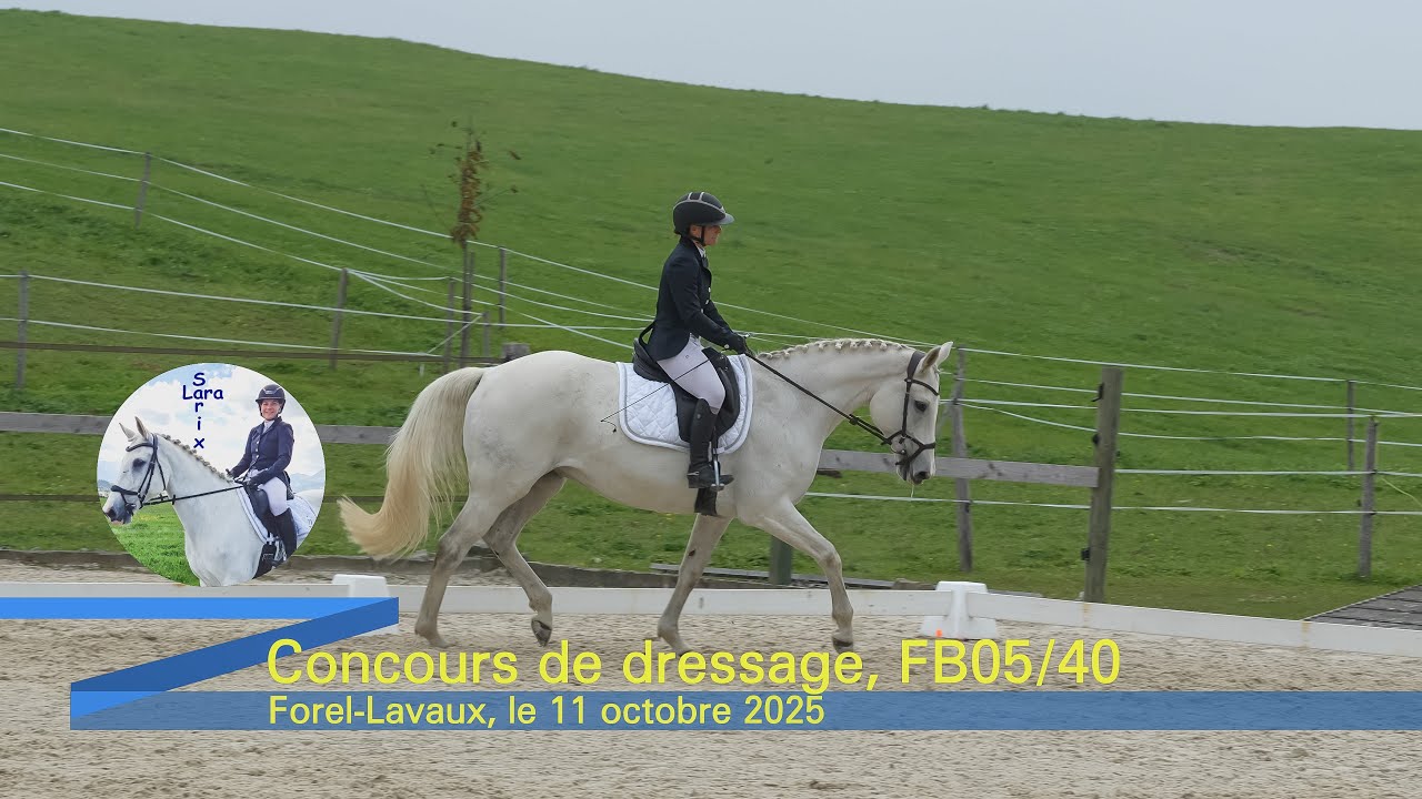 Sarix, reprise de dressage FB05 le 11 octobre 2025 &agrave; Forel-Lavaux