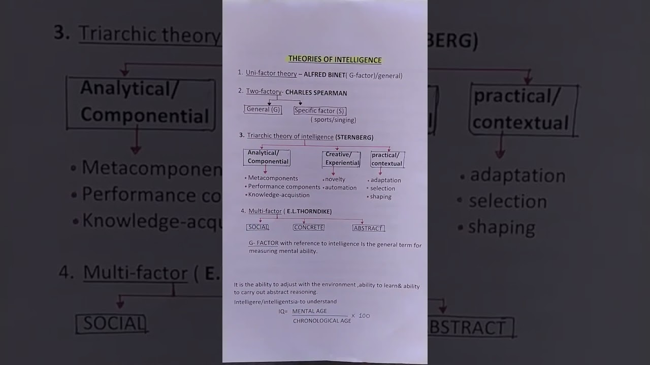 #Ctet#Tstet#CDP #Theories of intelligence