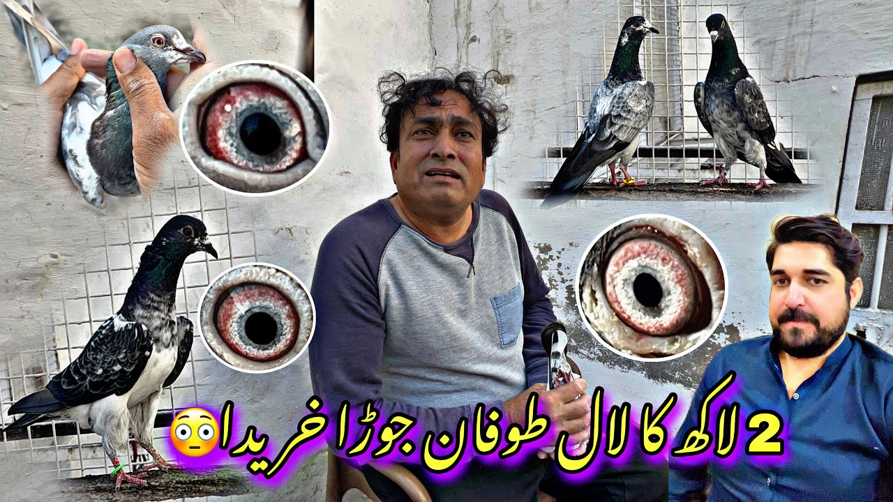 Shahid bhai ny 2 Lac ka laal tofan joda ly liya 😍