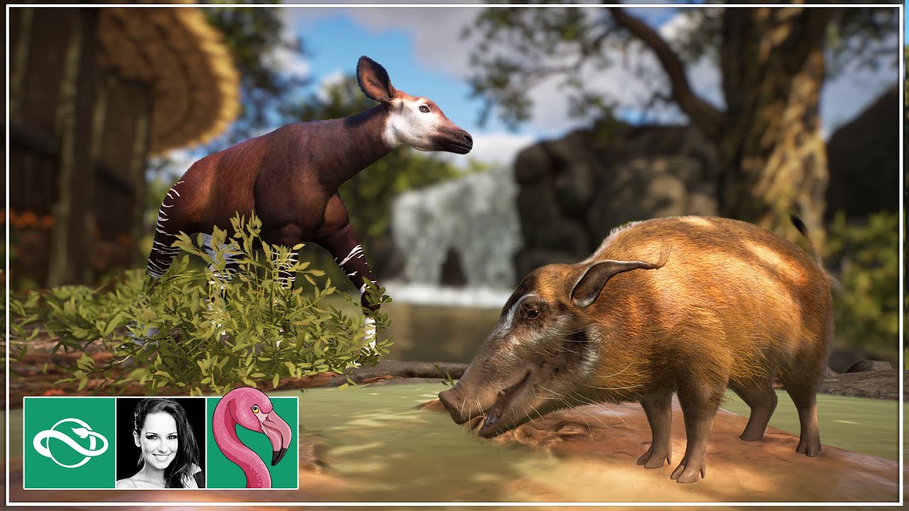 I Built a MIXED SPECIES Red River Hog & Okapi Habitat in Planet Zoo