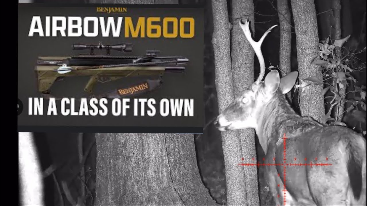 Benjamin airbow  M600 Deer hunt