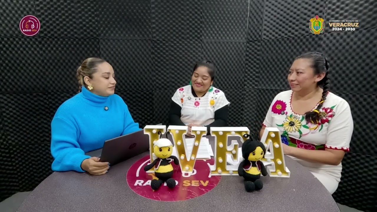 Educación bilingüe en Veracruz: identidad, cultura y rezago educativo | Al aire con IVEA E2 T2
