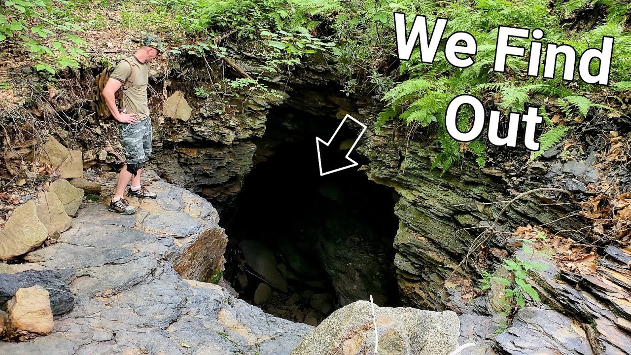 Where Do These BIG Holes in the Woods Go??