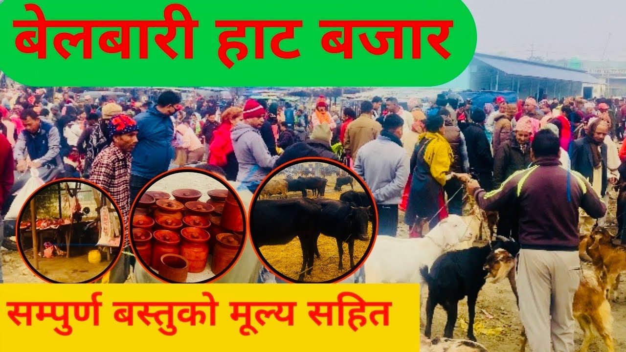 मोरङको बेलबारी हाट।पशु चौपायको मूल्य समेतको जानकारी |morang ko belbari hat bazar|belbari hatiya