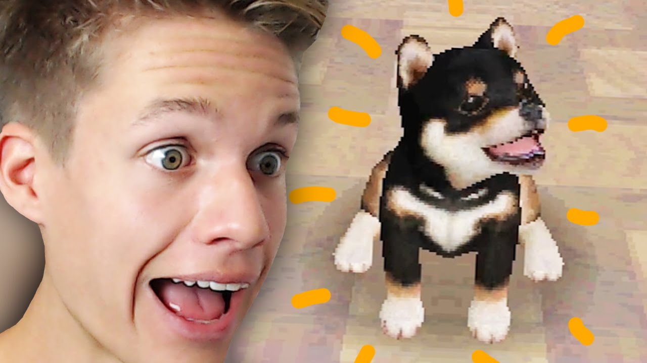 ICH KAUFE EINEN HUND