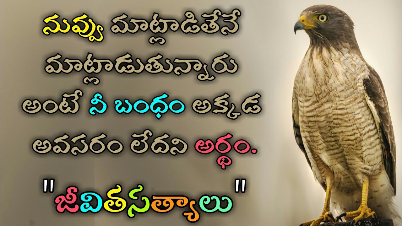 జీవిత సత్యాలు #149 |మంచి మాటలు|Inspirational quotes|Motivational quotes|సూక్తులు|Telugu quotes