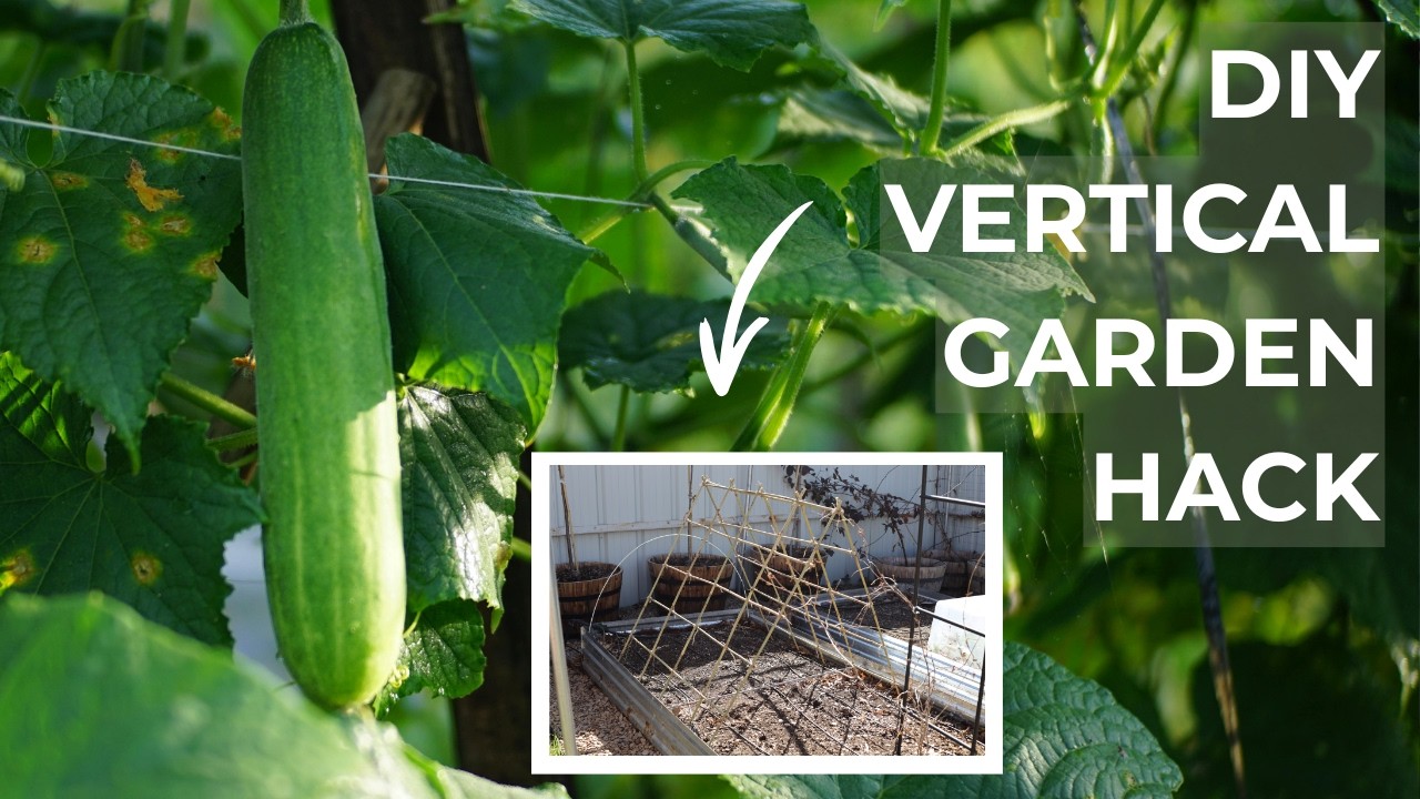 Build a Simple A-Frame Trellis with Bamboo in 30 Minutes | DIY Vertical Garden Hack